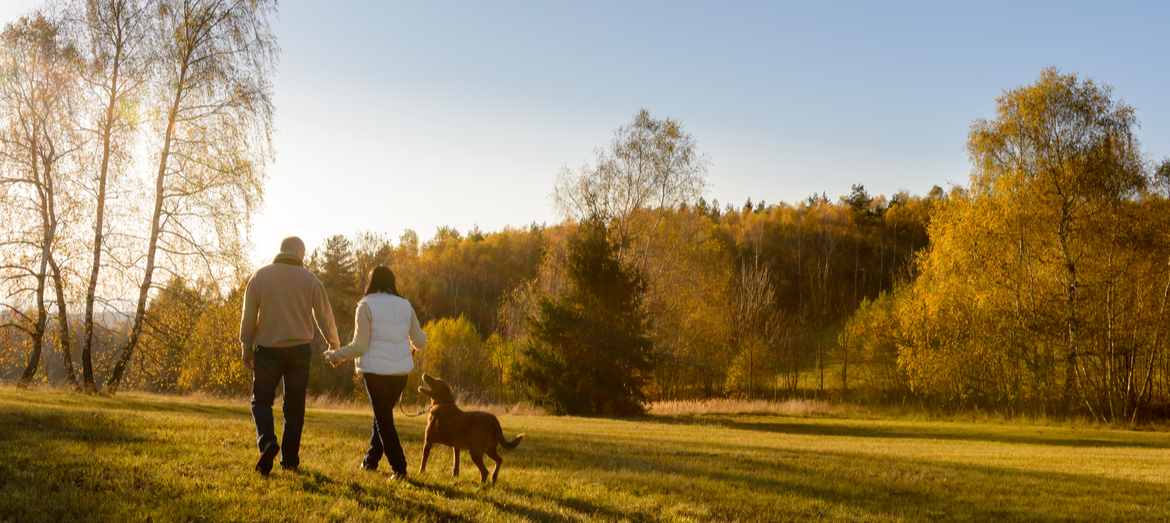 A couple walking a dog in the countryside.