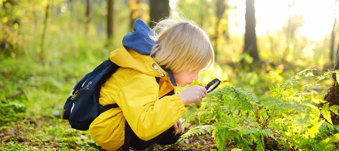A boy using a magnifying glass in the woods.